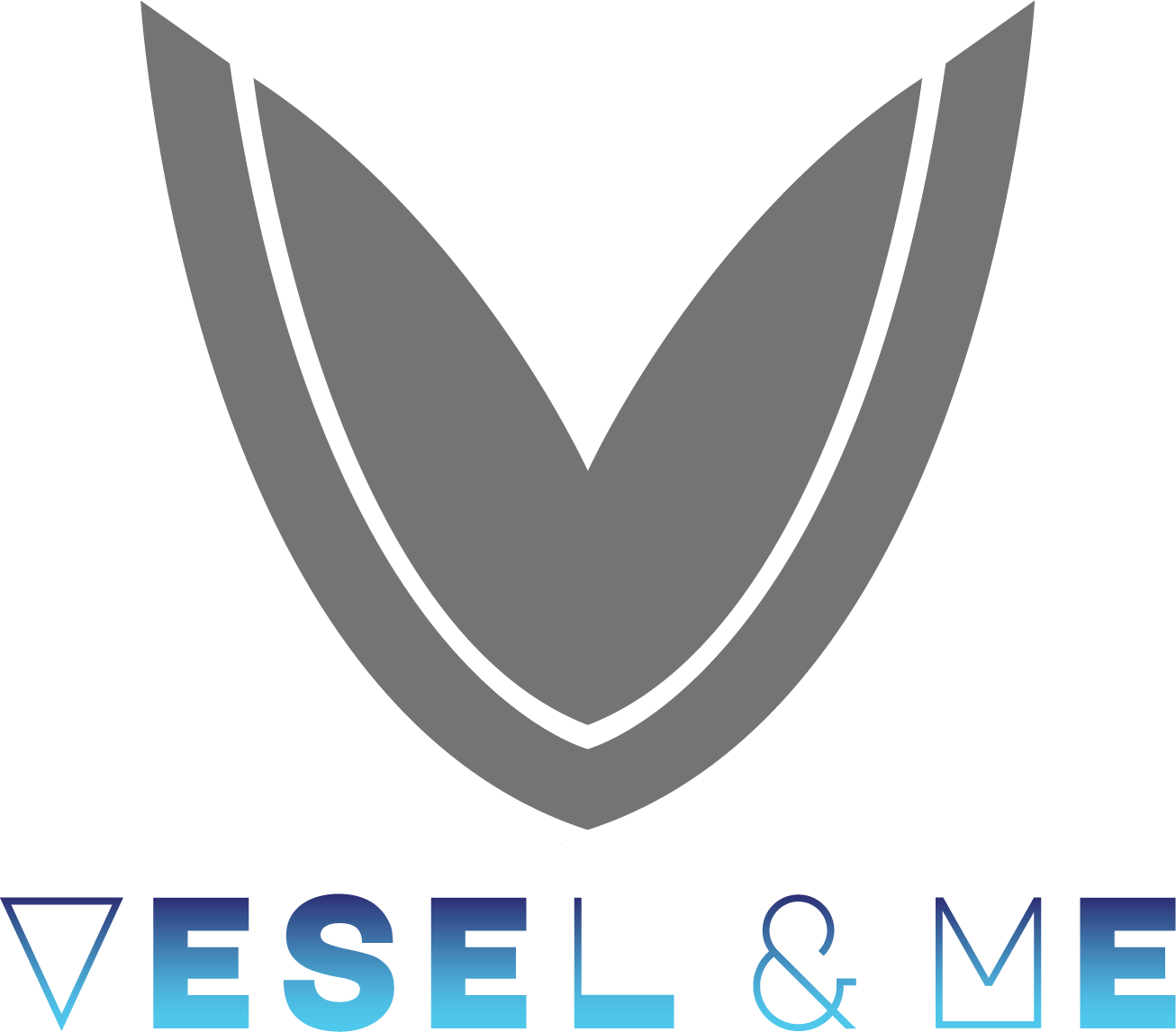 Vesel & Measurement Solution. All Rights Reserved